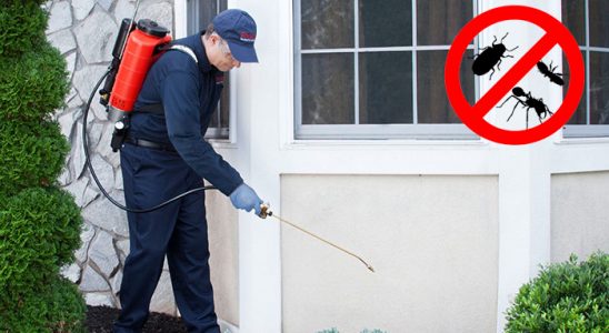 Kulu Böcek İlaçlama böcek ilaçlama ve haşere kontrolü — ilaclama-tr.com